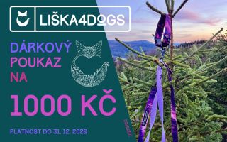 Vytvořila jsem nové dárkové poukazy, protože Vánoce se blíží 🎄✨ A musím říct, že mě opravdu těší, když chcete obdarovat...